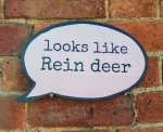 Looks Like Rein Deer funny photo booth prop