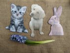 Kitten, Puppy and Rabbit photo booth signs